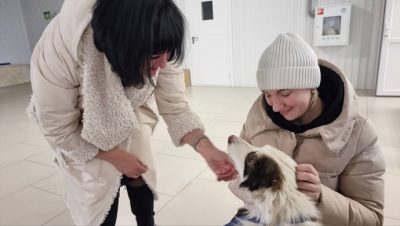 В Ямало-Ненецком автономном округе активисты «Единой России» передали необходимые вещи в приют для животных