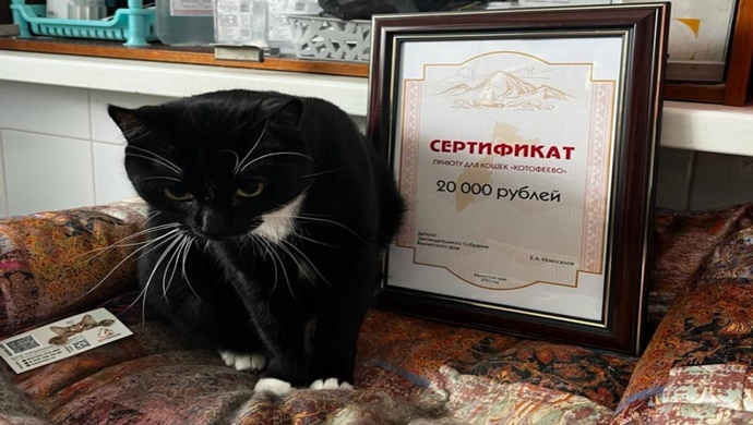 Депутаты «Единой России» поддержали приют для животных в Камчатском крае