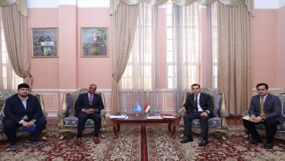 Meeting of the Deputy Minister of Foreign Affairs with the Head of the UN High Commissioner for Refugees Mission in the Republic of Tajikistan